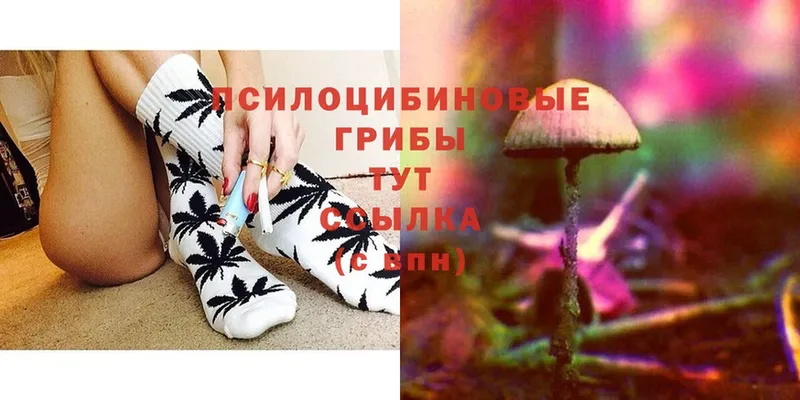 Псилоцибиновые грибы MAGIC MUSHROOMS  Камешково 